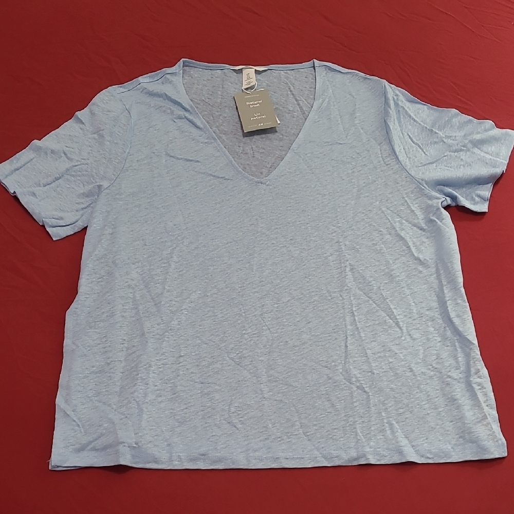 Light Blue V-Neck Women's Top